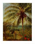 Palm Tree, Nassau by Albert Bierstadt Bierstadt